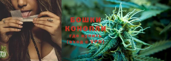 2c-b Белокуриха